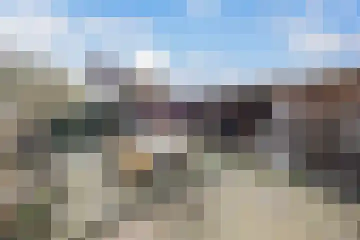Steenakker 35 Druten thumbnail 35