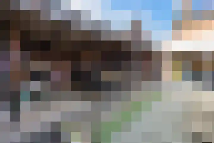Steenakker 35 Druten thumbnail 37