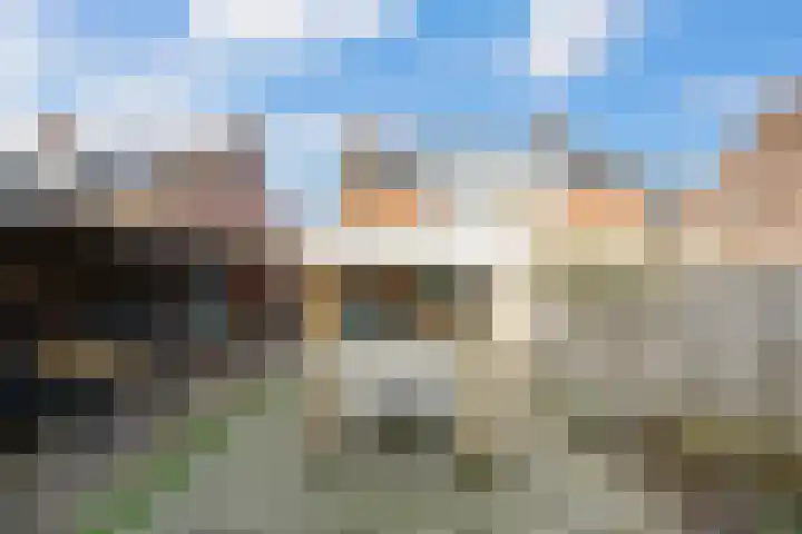 Steenakker 35 Druten thumbnail 4