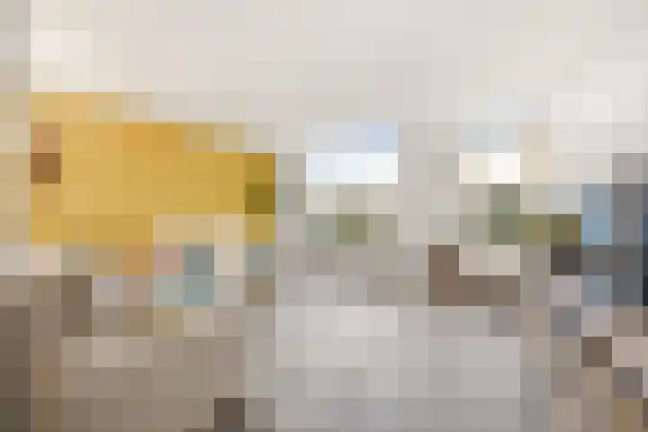 Steenakker 35 Druten thumbnail 5