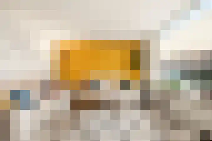 Steenakker 35 Druten thumbnail 6