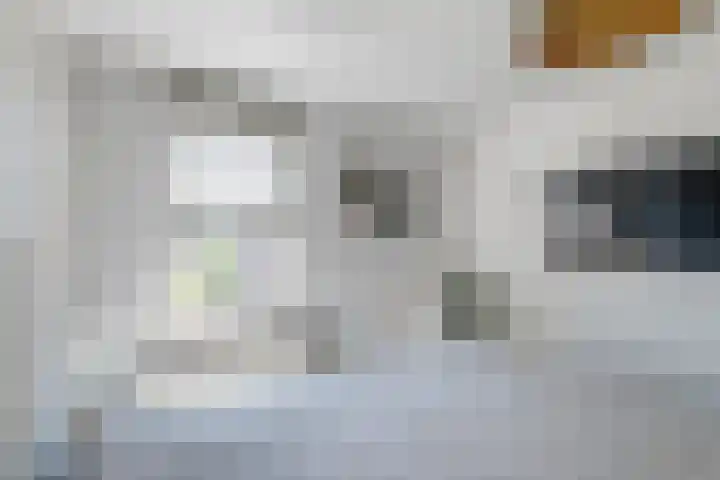 Steenakker 71 Druten thumbnail 15