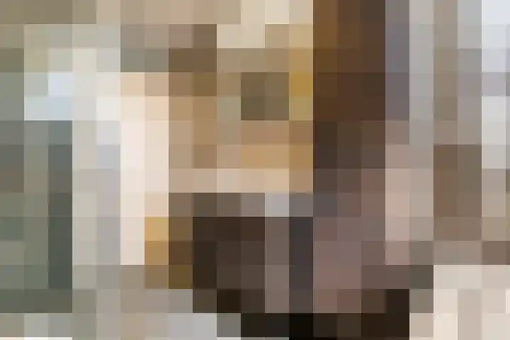 Steenakker 71 Druten thumbnail 17