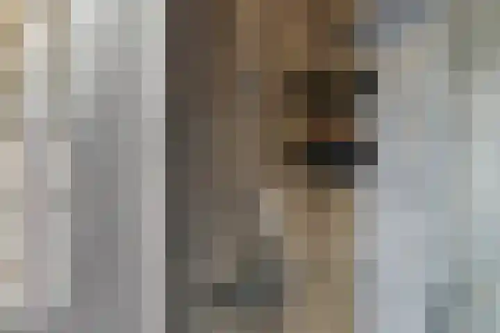 Steenakker 71 Druten thumbnail 19