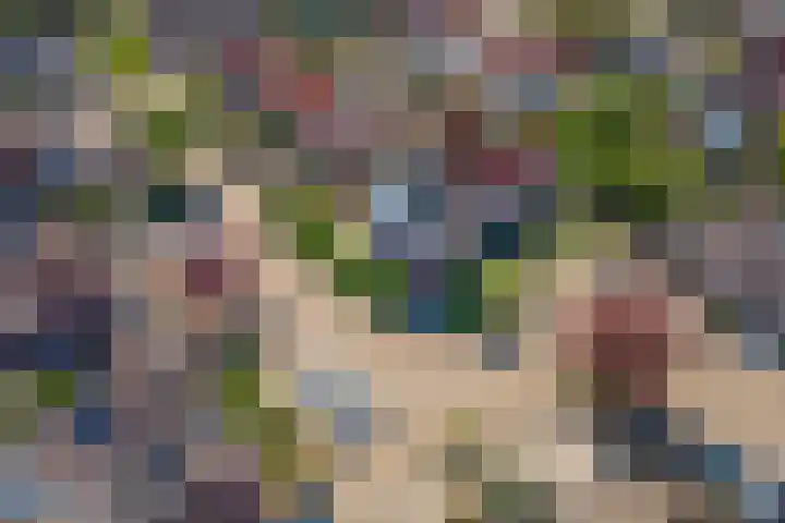 Steenakker 71 Druten thumbnail 38