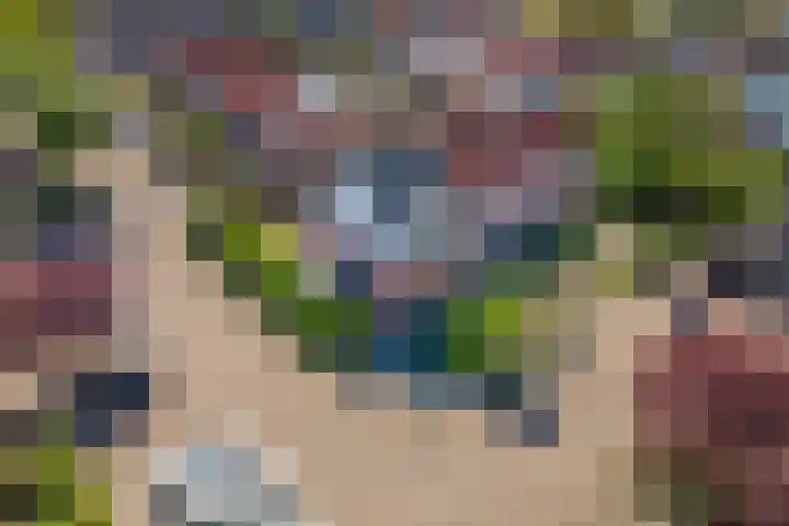 Steenakker 71 Druten thumbnail 44