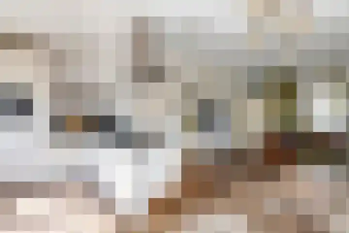 Steenakker 71 Druten thumbnail 9