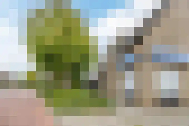 Steenakkerplein 17 Gilze thumbnail 33