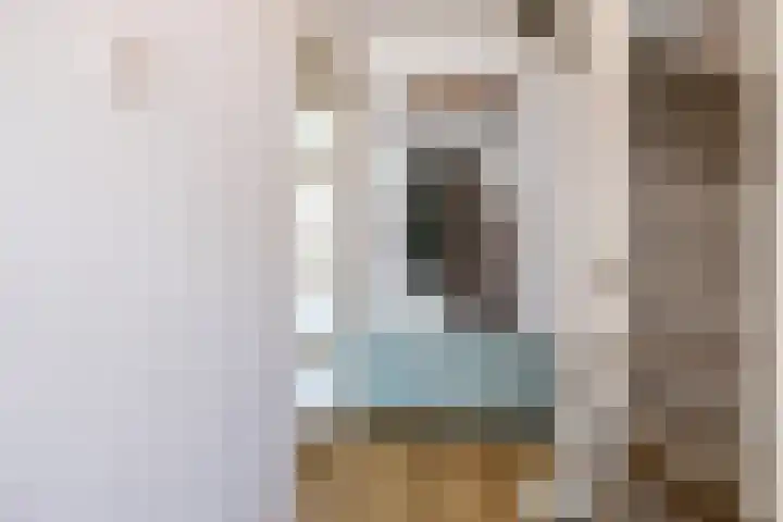 Steenakkers 43 Tynaarlo thumbnail 14