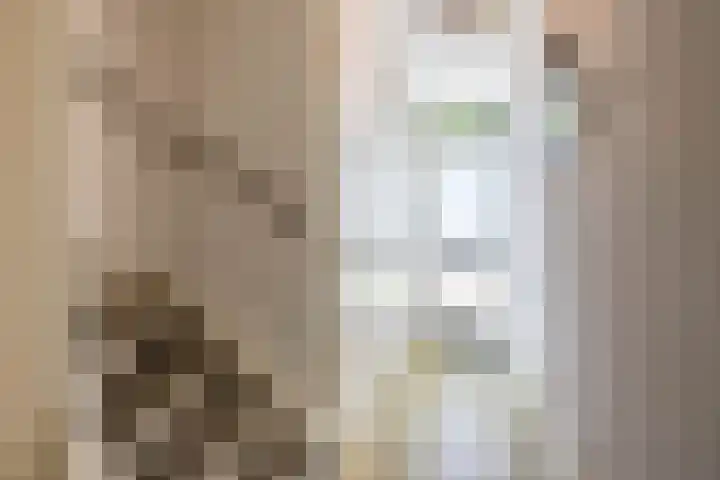 Steenakkers 43 Tynaarlo thumbnail 15
