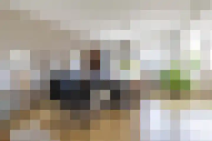 Steenakkers 43 Tynaarlo thumbnail 21
