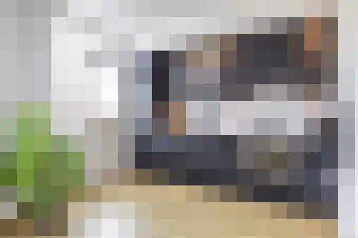 Steenakkers 43 Tynaarlo thumbnail 23