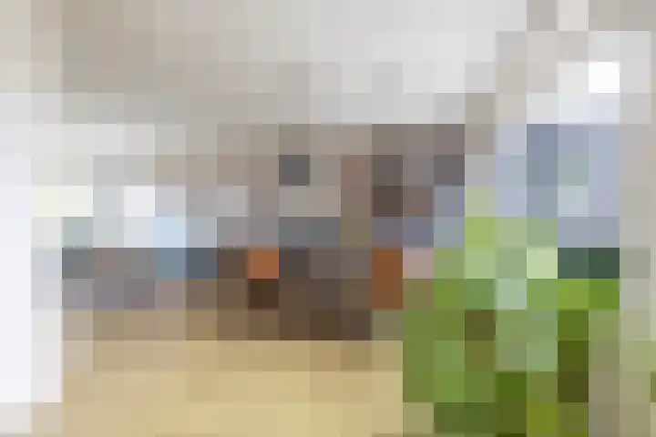 Steenakkers 43 Tynaarlo thumbnail 26