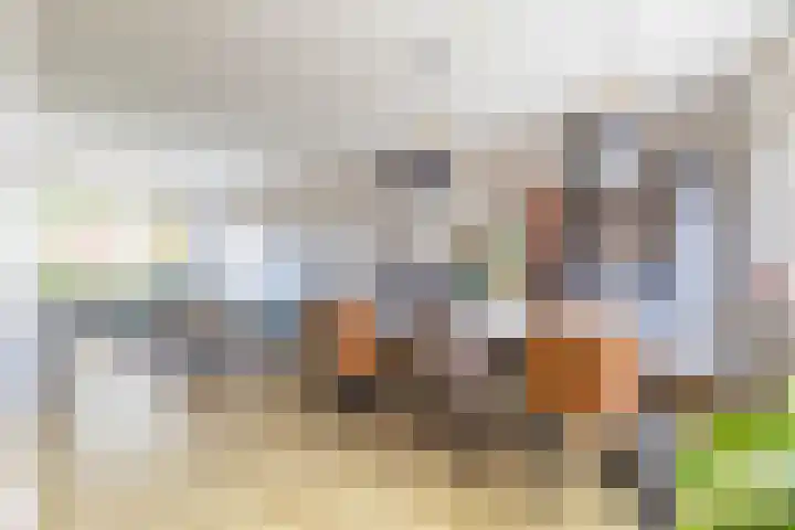 Steenakkers 43 Tynaarlo thumbnail 27