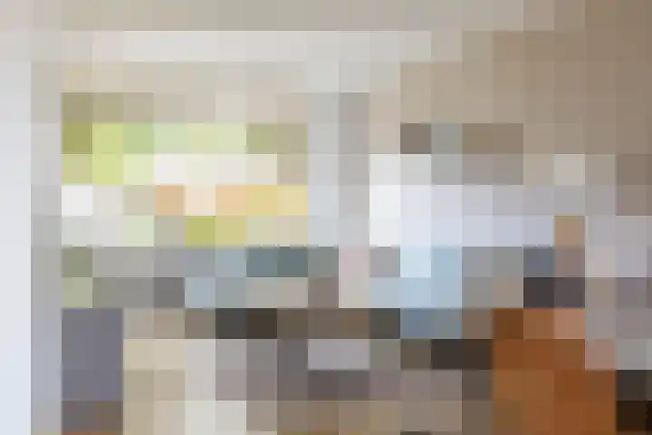 Steenakkers 43 Tynaarlo thumbnail 28