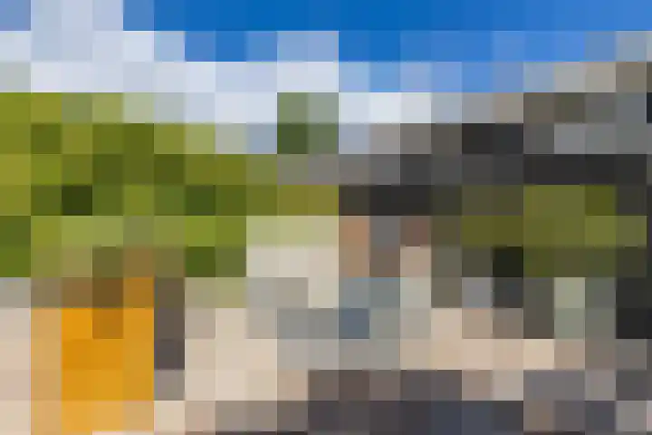 Steenakkers 43 Tynaarlo thumbnail 31