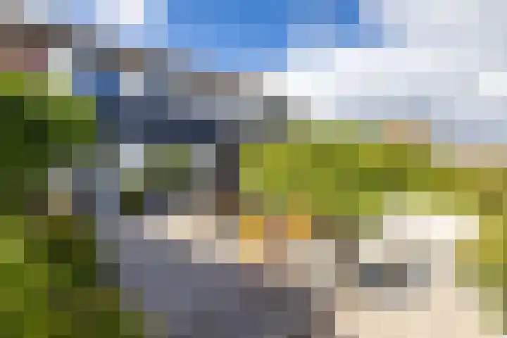 Steenakkers 43 Tynaarlo thumbnail 32