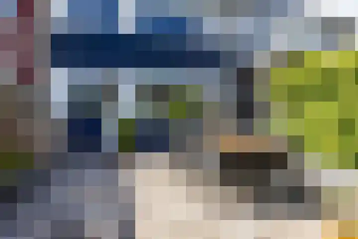 Steenakkers 43 Tynaarlo thumbnail 34