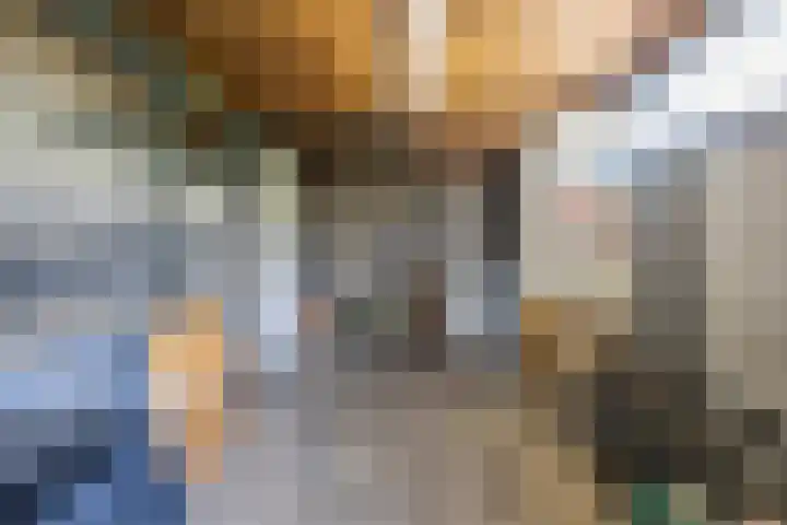 Steenakkers 43 Tynaarlo thumbnail 36