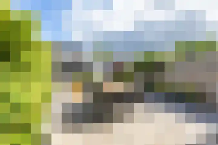 Steenakkers 43 Tynaarlo thumbnail 4