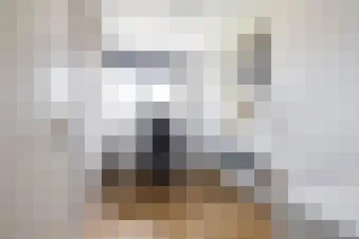 Steenakkers 43 Tynaarlo thumbnail 41