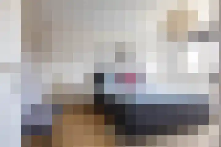 Steenakkers 43 Tynaarlo thumbnail 42