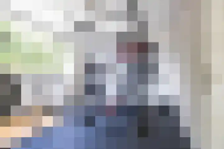 Steenakkers 43 Tynaarlo thumbnail 45