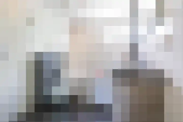 Steenakkers 43 Tynaarlo thumbnail 48
