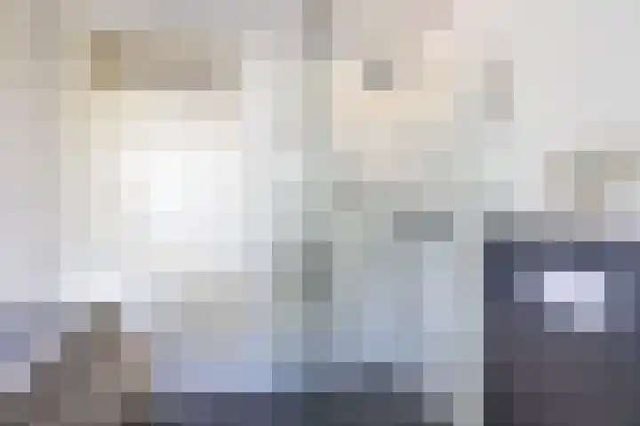 Steenakkers 43 Tynaarlo thumbnail 49