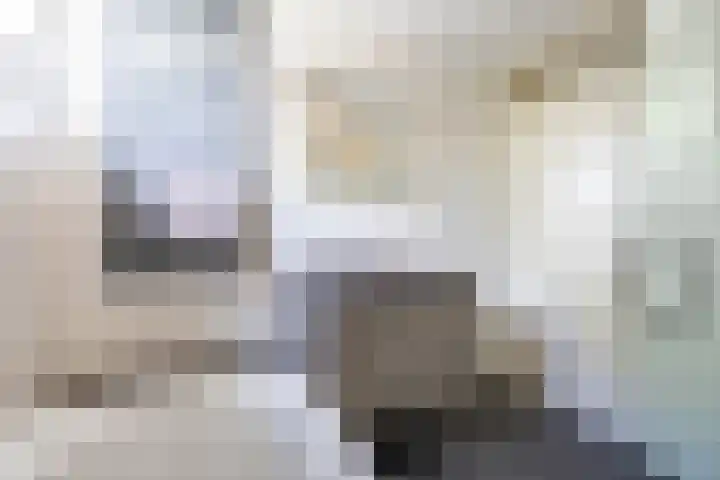 Steenakkers 43 Tynaarlo thumbnail 50