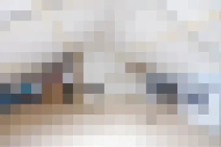 Steenakkers 43 Tynaarlo thumbnail 51
