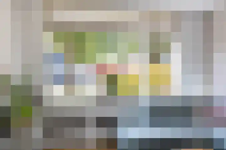Steenakkers 43 Tynaarlo thumbnail 6