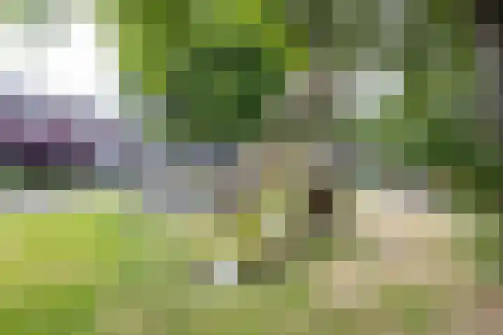 Steenakkers 43 Tynaarlo thumbnail 7