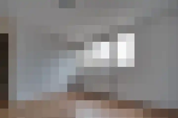 Steenakkers 57 Tynaarlo thumbnail 25