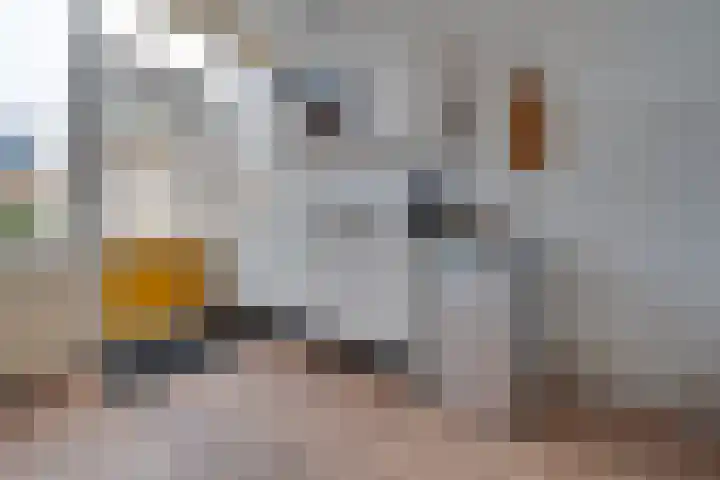 Steenakkers 57 Tynaarlo thumbnail 4