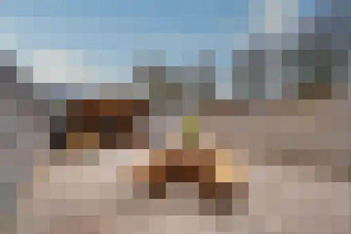 Steenakkers 57 Tynaarlo thumbnail 5