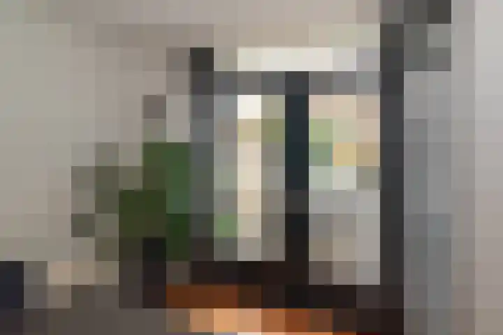 Steenanjer 11 Nijverdal thumbnail 10