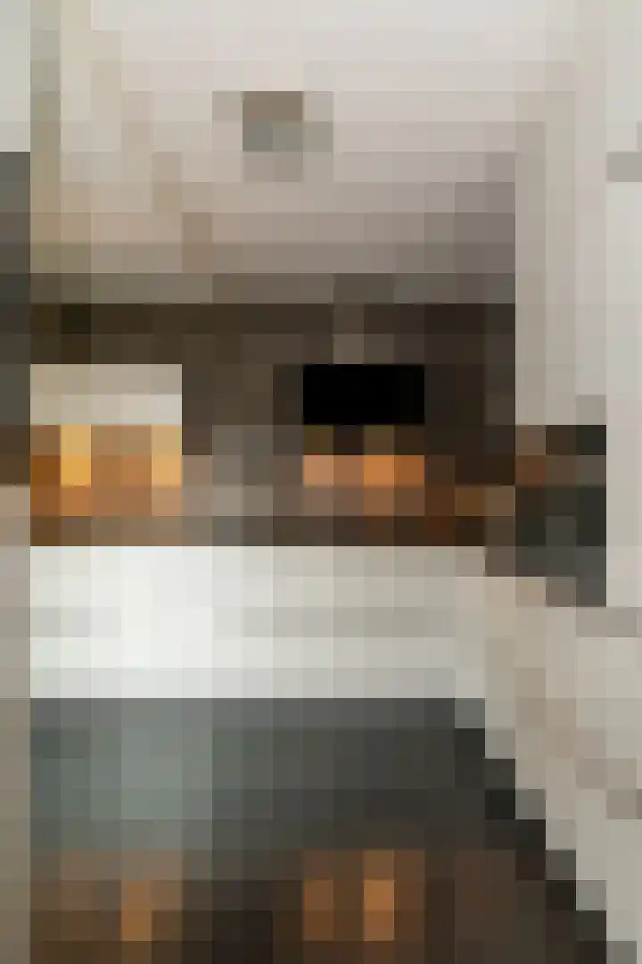 Steenanjer 11 Nijverdal thumbnail 12