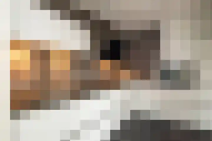 Steenanjer 11 Nijverdal thumbnail 14