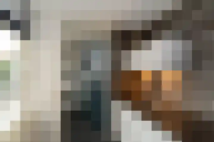 Steenanjer 11 Nijverdal thumbnail 16