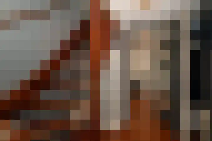 Steenanjer 11 Nijverdal thumbnail 18