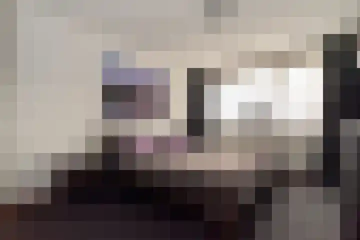 Steenanjer 11 Nijverdal thumbnail 19