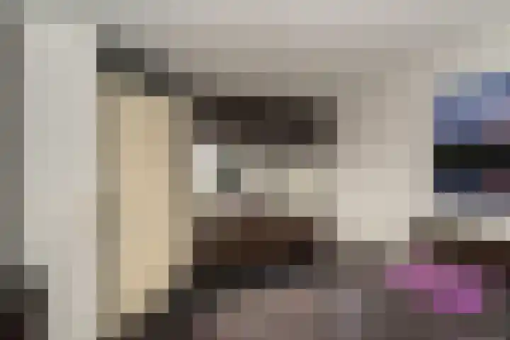 Steenanjer 11 Nijverdal thumbnail 20