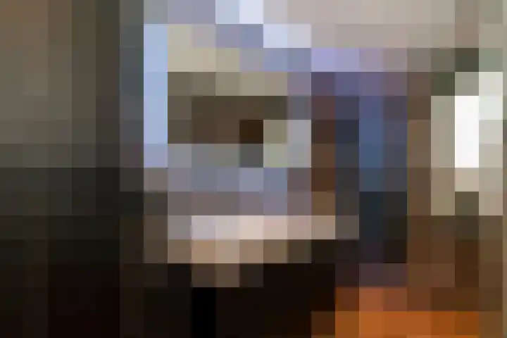 Steenanjer 11 Nijverdal thumbnail 24