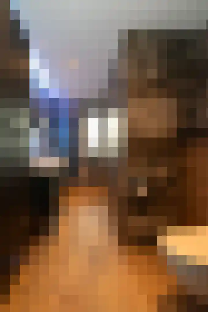 Steenanjer 11 Nijverdal thumbnail 25