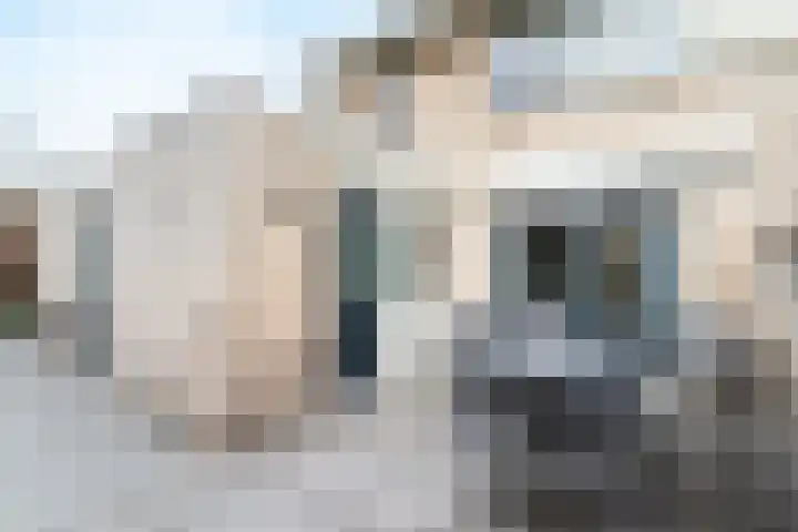 Steenanjer 11 Nijverdal thumbnail 31