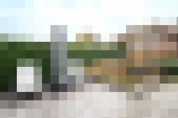 Steenanjer 11 Nijverdal thumbnail 33