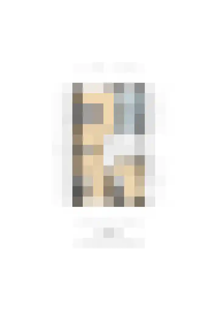 Steenanjer 11 Nijverdal thumbnail 42