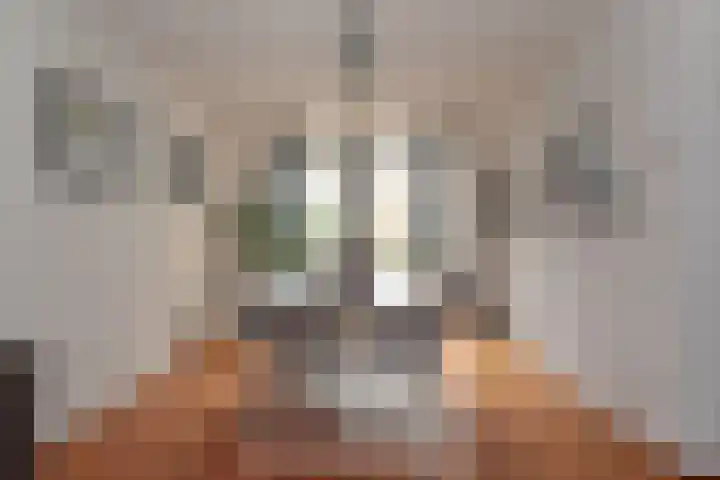 Steenanjer 11 Nijverdal thumbnail 8