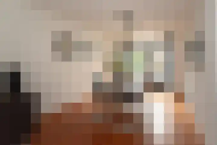 Steenanjer 11 Nijverdal thumbnail 9